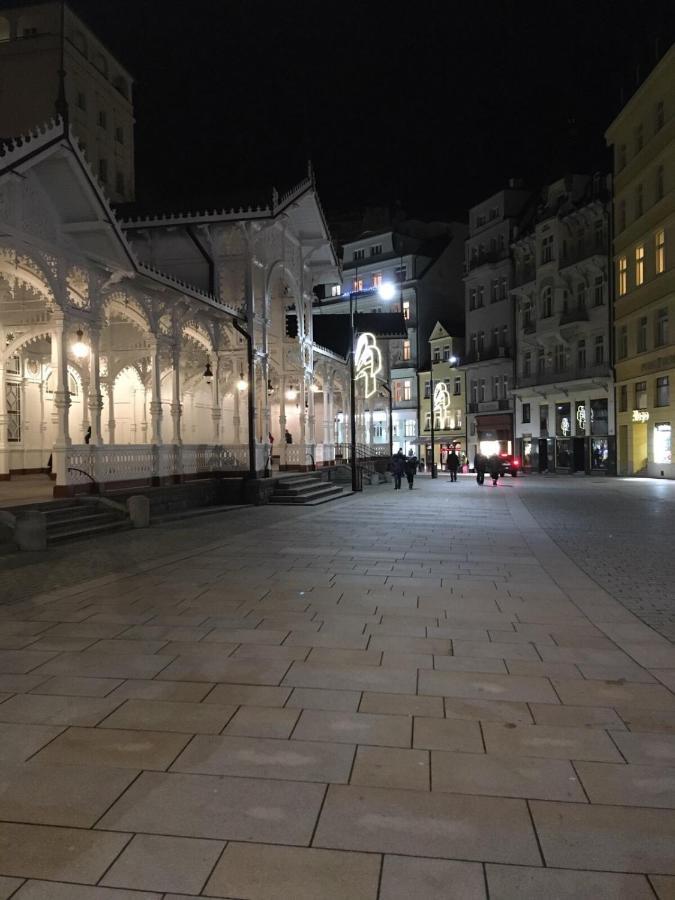 Elvira Apartment Karlovy Vary Exterior photo
